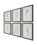 Forest Finds Framed Prints Set/6 thumbnail 7