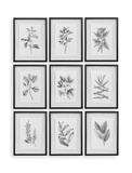 Farmhouse Florals Framed Prints Set/9 thumbnail 1