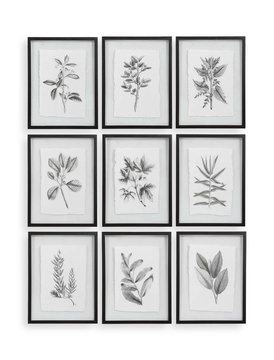 Farmhouse Florals Framed Prints Set/9
