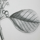 Farmhouse Florals Framed Prints Set/9 thumbnail 9