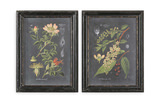 Midnight Botanicals Wall Art Set/2 thumbnail 1