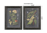 Midnight Botanicals Wall Art Set/2 thumbnail 2