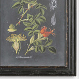Midnight Botanicals Wall Art Set/2 thumbnail 4