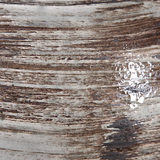 Tamula Distressed Ivory Table Lamp thumbnail 5