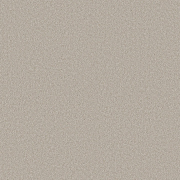 Shaw Classic Tone - Pebble Path