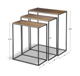 Coreene Gold Nesting Tables Set/3 thumbnail 2