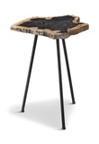 Mircea Petrified Wood Accent Table thumbnail 1
