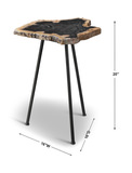 Mircea Petrified Wood Accent Table thumbnail 3
