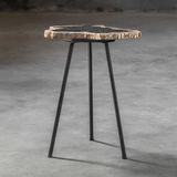 Mircea Petrified Wood Accent Table thumbnail 6