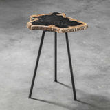 Mircea Petrified Wood Accent Table thumbnail 5