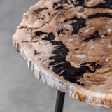 Mircea Petrified Wood Accent Table thumbnail 4