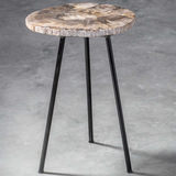 Mircea Petrified Wood Accent Table thumbnail 7