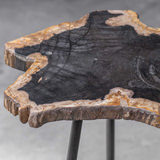 Mircea Petrified Wood Accent Table thumbnail 8