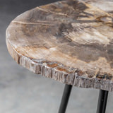 Mircea Petrified Wood Accent Table thumbnail 9