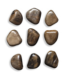 Pebbles Walnut Wood Wall Décor Set/9 thumbnail 1