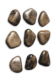 Pebbles Walnut Wood Wall Décor Set/9 thumbnail 3