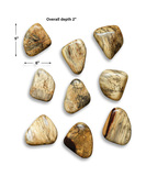 Pebbles Blonde Wood Wall Décor Set/9 thumbnail 2