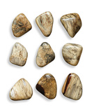 Pebbles Blonde Wood Wall Décor Set/9 thumbnail 1