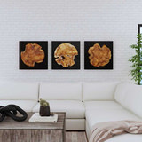 Kolini Teak Wood Wall Decor Set/3 thumbnail 3