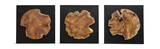Kolini Teak Wood Wall Decor Set/3 thumbnail 1