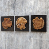 Kolini Teak Wood Wall Decor Set/3 thumbnail 4
