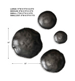 Lucky Coins Nickel Wall Decor Set/4 thumbnail 3