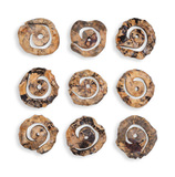 Corkscrew Wood Wall Decor Set/9 thumbnail 1