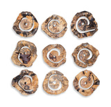 Corkscrew Wood Wall Decor Set/9 thumbnail 7