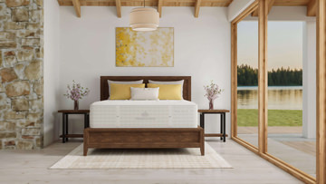 Repose Plush Mattress - Twin XL