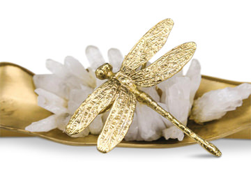 Dragonfly Box