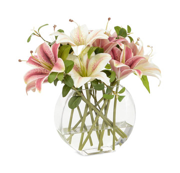 Stargazer In Glass Vase