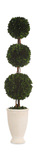 Preserved Boxwood Triple Topiary thumbnail 1