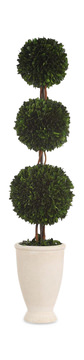 Preserved Boxwood Triple Topiary
