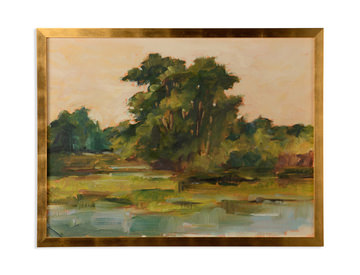 Changing Sunlight I Framed Art