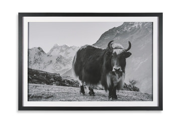 Mountain Majesty Framed Art