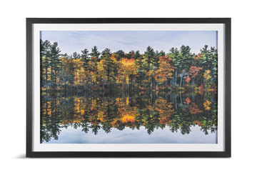 Fall Reflections Framed Art