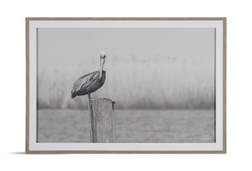 Pelican Stories Framed Art