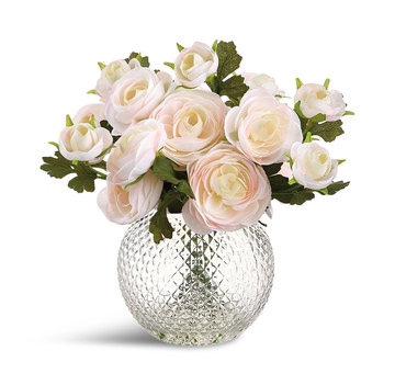 Blush Ranunculus