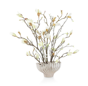 Coffee Magnolias