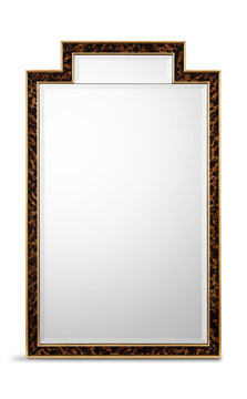 Chelonia Mirror