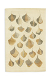 One of a Kind Area Rug - 5′6″ X 8′6″ thumbnail 1