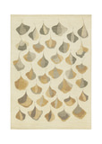 Hand Knotted Area Rug - 9′9″ X 13′6″ thumbnail 1