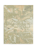 One Of A Kind Area Rug thumbnail 1