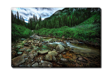 Alpine Stream Flow Canvas Art