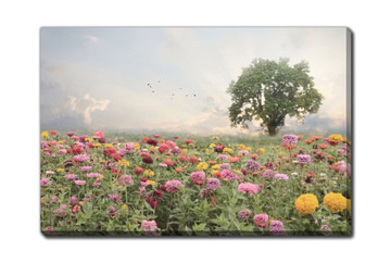 Zinnia Field Canvas Art