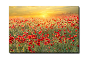 Poppy Field Sunset Canvas Art