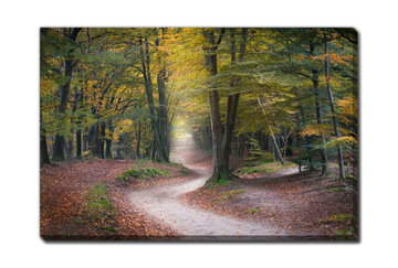 Whispers Of Autumn Along The Winding Path Canvas Art