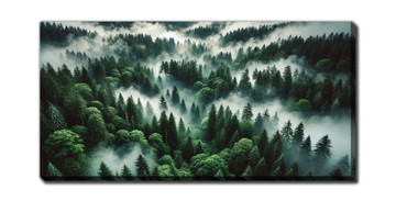 Lush Forest Mystical Fog