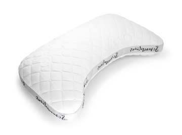 Scrumptious Queen Pillow
