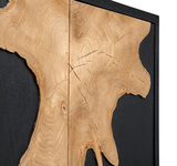 Andrei 2 Door Cabinet thumbnail 3